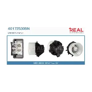 REAL 40172530BN