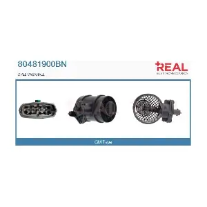 REAL 80481900BN