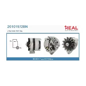 REAL 20101972BN