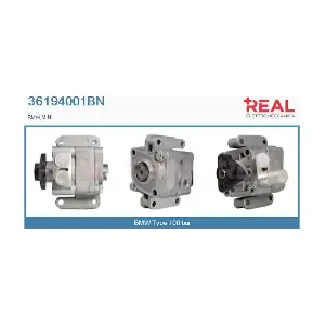 REAL 36194001BN