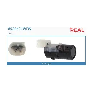 8029431WBN REAL