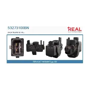 53273100BN REAL