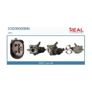 53006000BN REAL