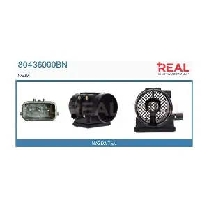 80436000BN REAL