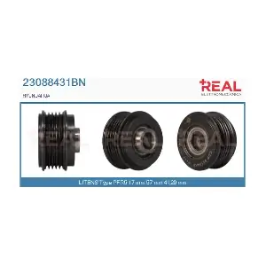 23088431BN REAL