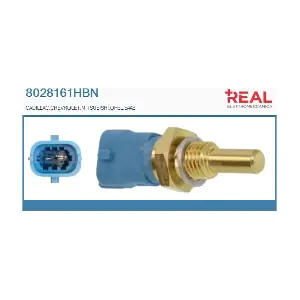REAL 8028161HBN