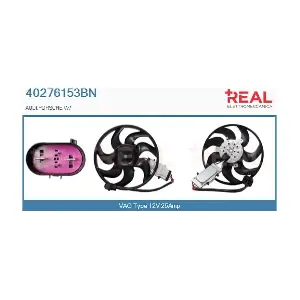 40276153BN REAL