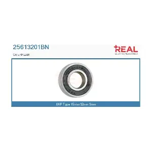 REAL 25613201BN
