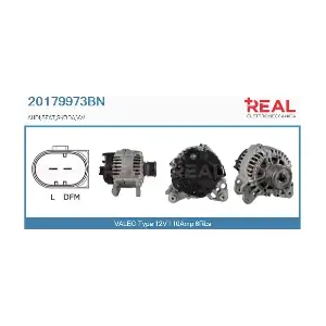 REAL 20179973BN