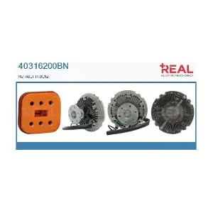40316200BN REAL