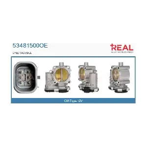 53481500OE REAL
