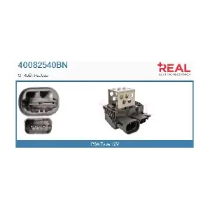 REAL 40082540BN