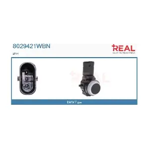 8029421WBN REAL