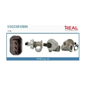 53023810BN REAL