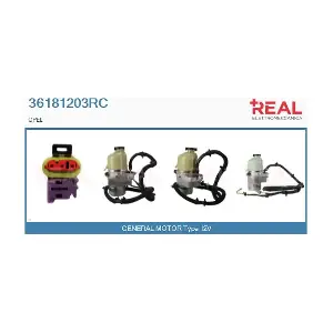 36181203RC REAL