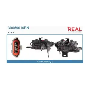 REAL 30089010BN