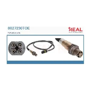 8027230TOE REAL