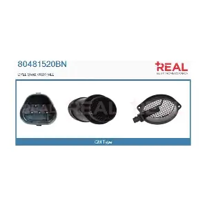 80481520BN REAL