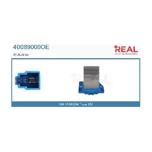 40089000OE REAL
