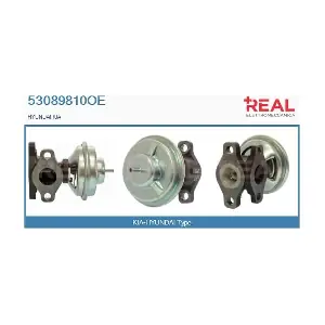 53089810OE REAL