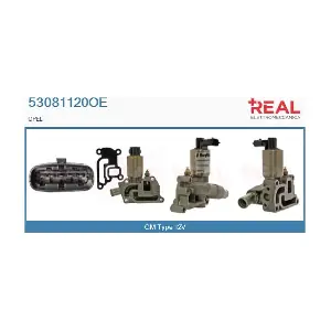 REAL 53081120OE