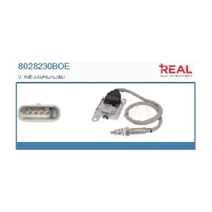 8028230BOE REAL