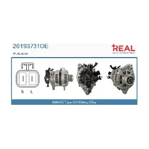 REAL 20193731OE