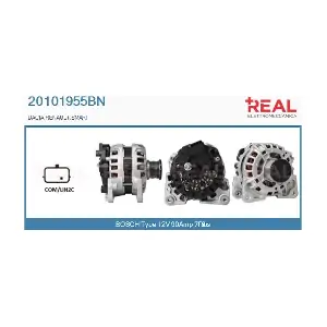 REAL 20101955BN