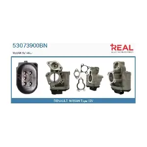 53073900BN REAL