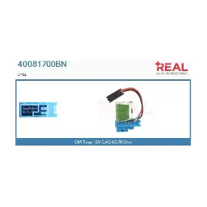 40081700BN REAL