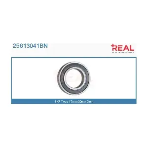 25613041BN REAL