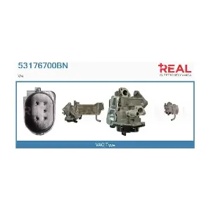 53176700BN REAL