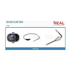 8028124FBN REAL