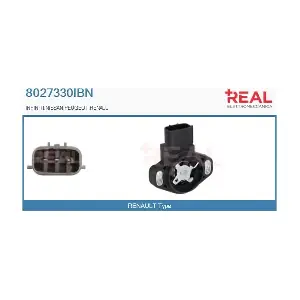 8027330IBN REAL