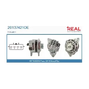 REAL 20137421OE