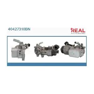 REAL 40427310BN