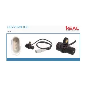 8027625COE REAL