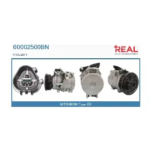 60002500BN REAL