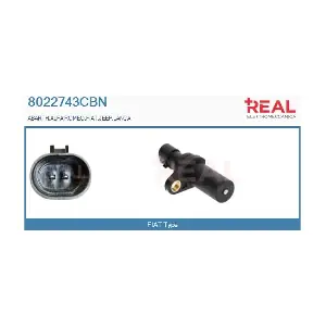 8022743CBN REAL