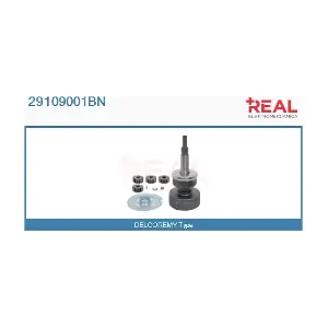 REAL 29109001BN