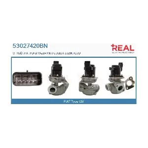 REAL 53027420BN