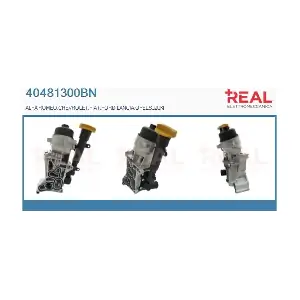 REAL 40481300BN