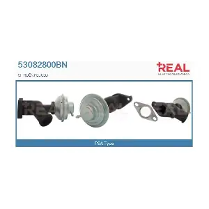 53082800BN REAL