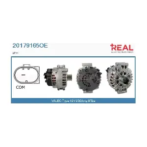 20179165OE REAL