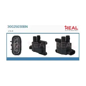 30025030BN REAL