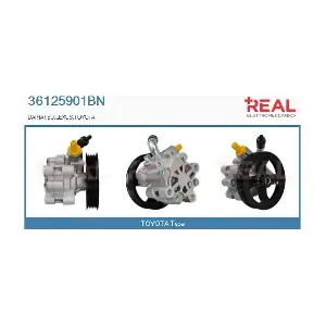 36125901BN REAL