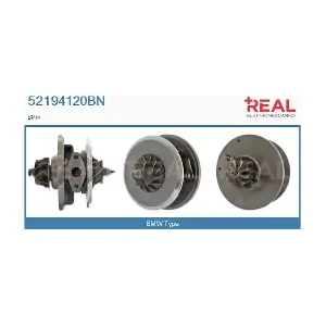 REAL 52194120BN