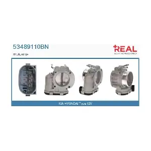 53489110BN REAL