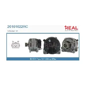 REAL 20101022RC