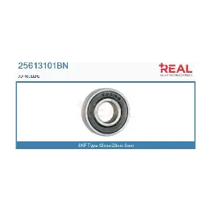 25613101BN REAL